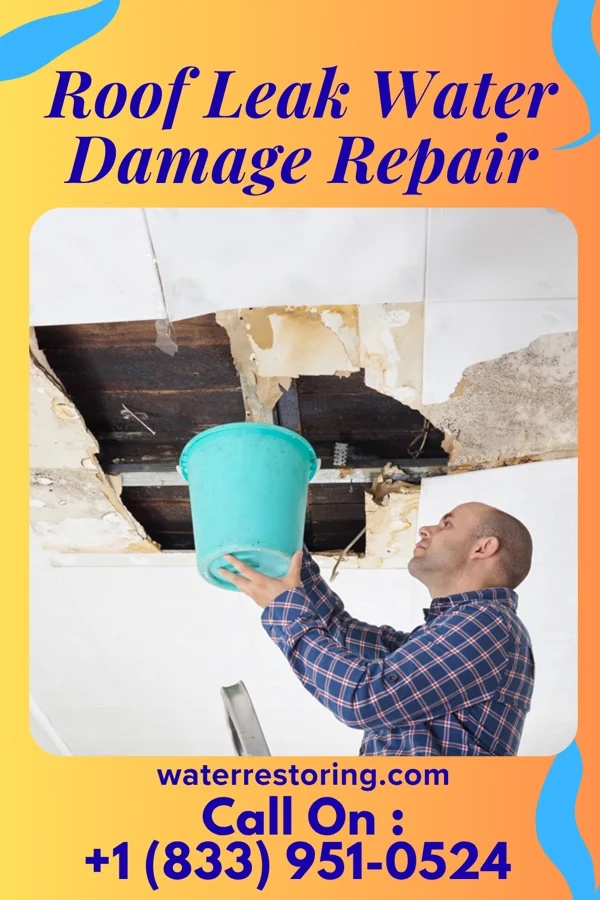 Roof Leak Water Damage Repair in Ogden, UT